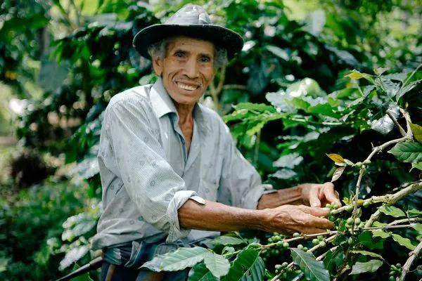 Pemulan Bali organic farm and village community