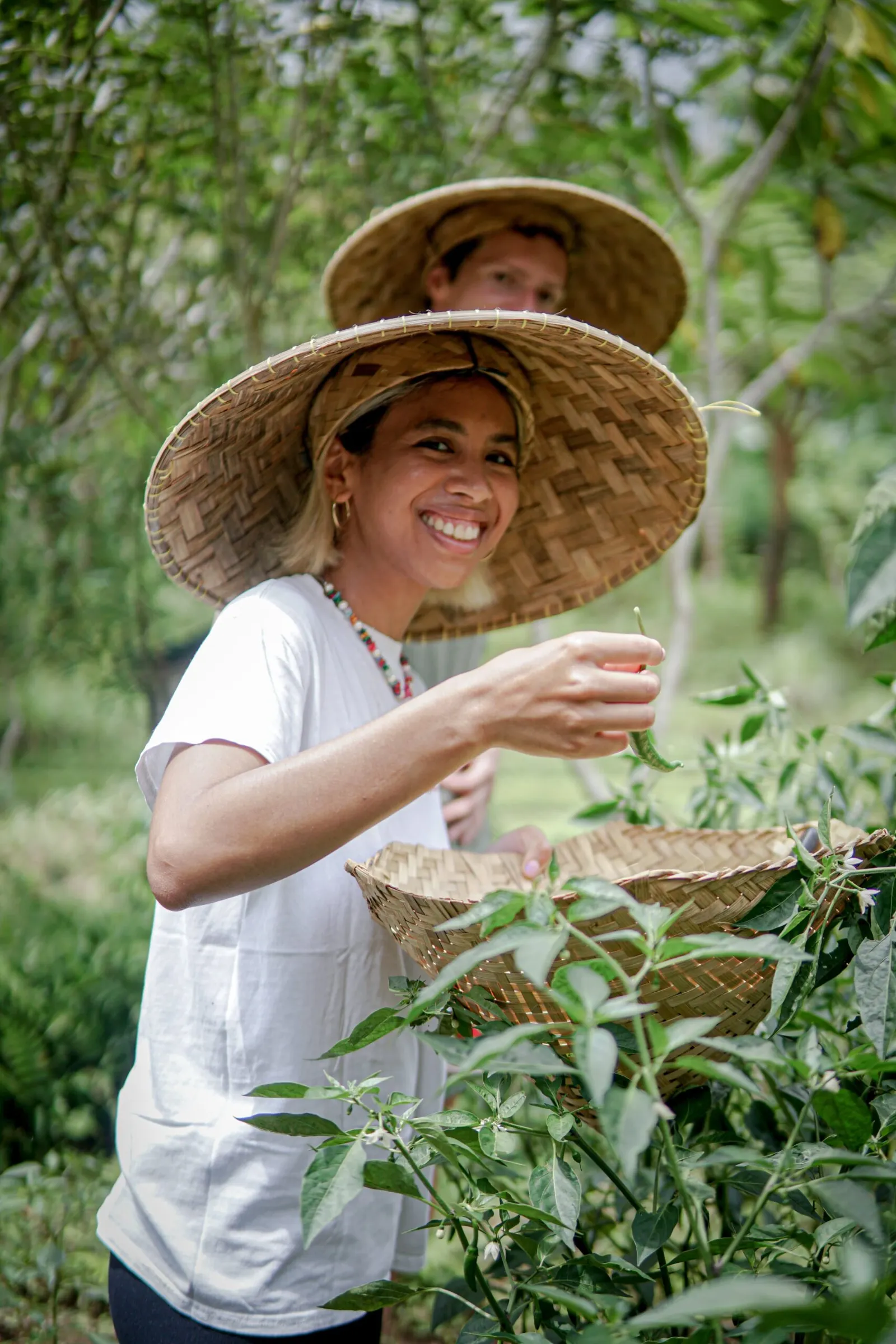 The Organic Farm
