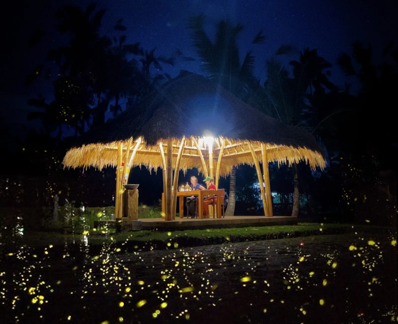 Village firefly night tour at Pemulan Bali
