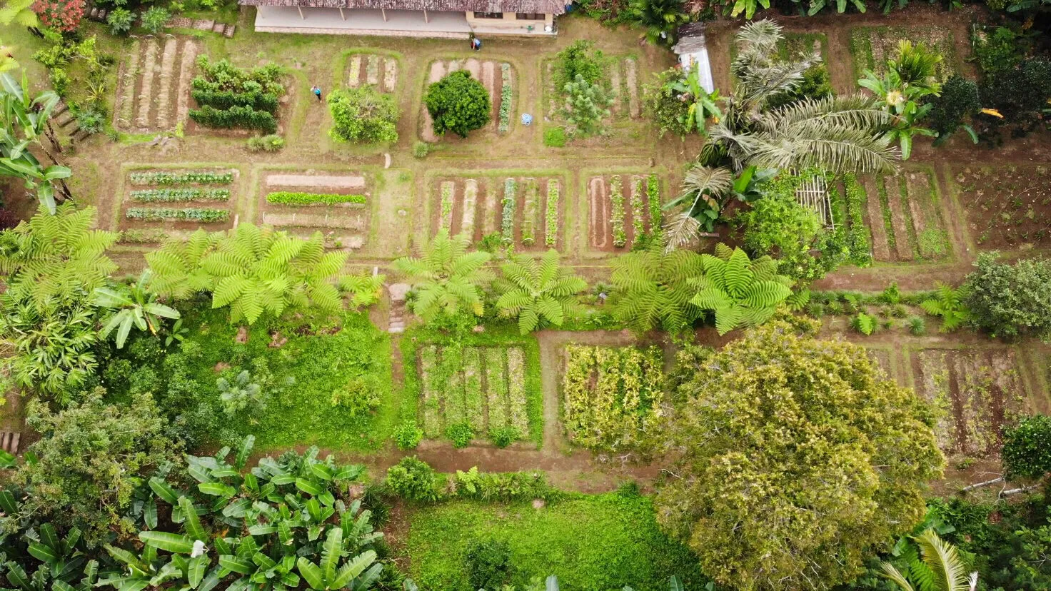 Advanced Class Vegetarian & Meat Lovers Option — Pemulan Bali